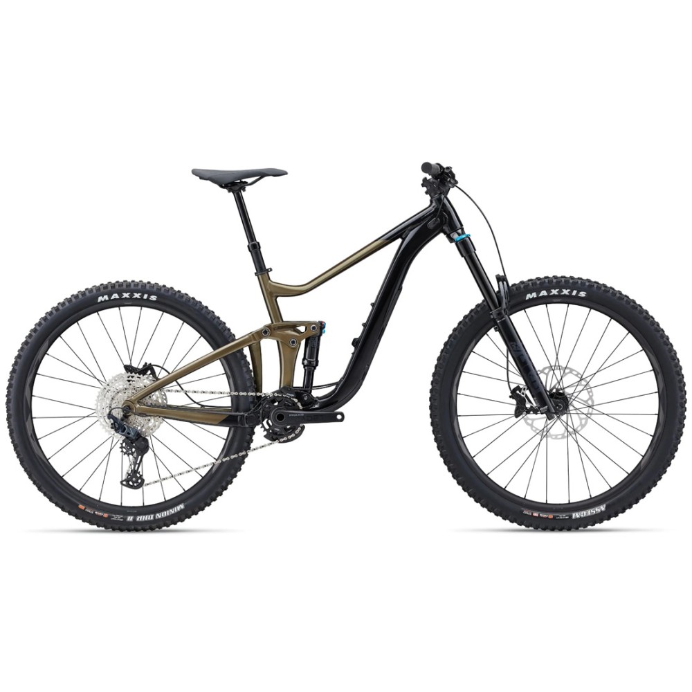 2024 Giant Reign 2 Mountain Bike